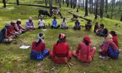 वनको विवाद वनमै सुल्झाइँदै !