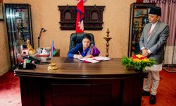 इजिप्टका लागि लम्साल र अष्ट्रियामा रेग्मी नियुक्त