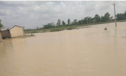 डुबानमा पर्‍यो गाईघाट, लाखौं क्षति !