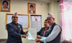 विमला वली प्रकरण : लेनदेनका कारण घटना घटेको निष्कर्ष