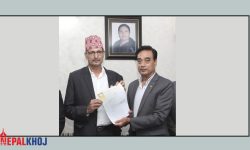 सभामुखलाई चेम्बरले भन्यो- रोकिएका आर्थिक विधेयक चाँडै अघि बढाइयोस्