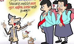 घोचपेच !