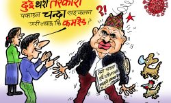 घोचपेच !