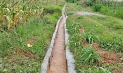 पाल्पामा सिँचाइले फेरियो जीवनशैली ! बाँझिएका जमिनमा हरियाली