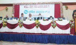 लुम्बिनी इन्स्योरेन्सका सेयरधनी बोनस सेयर, साधारणसभाबाट मर्जरको प्रस्ताव पारित