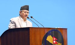 दलीय सहमति गरेर नागरिकतासम्बन्धी नयाँ विधेयक ल्याइन्छ : गृहमन्त्री