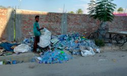 फोहोरमा मोहोर !