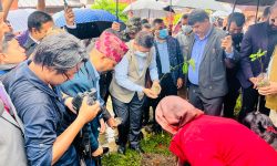 सुरु भयो ‘एक भक्त, एक वृक्षरोपण’