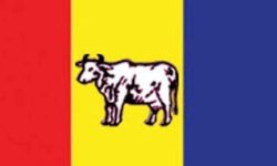 ४ नेताले छाडे राप्रपा, भन्छन्- पार्टीभित्र अपमानित र निरिह भइयो