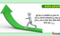 सूचक तथा कारोबार रकम दुवै बढ्यो, ५७ अंकले नेप्से बढ्दा २ अर्ब ४८ करोडको कारोबार