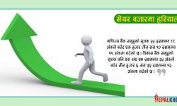 मौद्रिक नीति घोषणापछिको पहिलो दिन ६१ अंकले बढ्यो नेप्से, २ अर्ब ७३ करोडको कारोबार