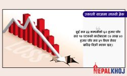 ४४ अंकले नेप्से घट्दा ३ अर्ब ७० करोडको सेयर किनबेच