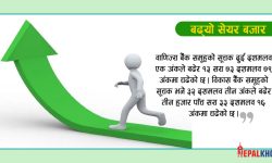 १८ अंकले नेप्से बढ्दा १ अर्ब ३१ करोडको कारोबार