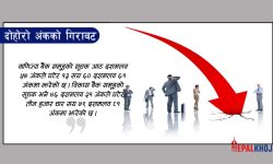 १६ अंकले नेप्से घट्दा १ अर्ब ८० करोडको कारोबार