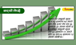 नेप्सेमा पुनः हरियाली, १३ अंकले बढ्दा दुई अर्ब १७ करोडको कारोबार