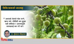 पाचन शक्ति बलियो बनाउन खानैपर्ने प्राकृतिक जडीबुटी