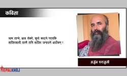 ‘काटेको घाउ सिलाउने, पट्टी लाउने किन आउँथे, सिङमा नुनचुक दली हान्ने, हनाउने आउँछन् !’