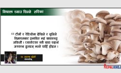 ‘आकर्षक च्याउ प्रायः विषाक्त हुन्छन्’