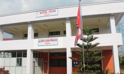 तामाङ र नेवारी भाषालाई कामकाजको भाषा बनाउन समिति गठन