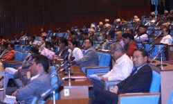 उपत्यकाको सुरक्षा प्रदेश प्रहरीको समन्वयमा नेपाल प्रहरीले गर्ने गरी विधेयक पारित