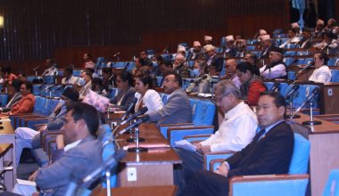 उपत्यकाको सुरक्षा प्रदेश प्रहरीको समन्वयमा नेपाल प्रहरीले गर्ने गरी विधेयक पारित