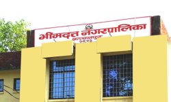 भीमदत्त नगरपालिका साक्षर घोषणा