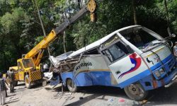 भक्तपुरमा रुख ढलेर बस र स्कुटरलाई किच्दा ३ जनाको मृत्यु