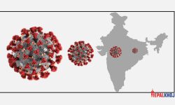 पछिल्लो चौवीस घन्टामा थप २०३ जनामा कोरोना पुष्टि