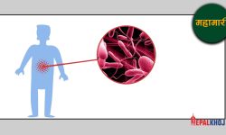 काठमाडौंमा थप दुईजनामा हैजा