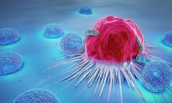 क्यान्सरपीडित डगौराले भने- यस्तो दुःख कसैले भोग्नु नपरोस्