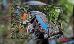 पाल्पामा बस दुर्घटना : ६ जनाको मृत्यु, १६ घाइते