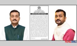 प्लास्टिकजन्य पुष्पगुच्छा, मालाको आयात, उत्पादन र बिक्रीमा रोक