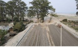 सिमलको रुखले रोकिएको सडक निर्माण