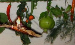 कर्कट सङ्क्रान्ति मनाइँदै