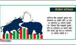११ अंकले नेप्से बढ्दा एक अर्ब ७० करोडको कारोबार