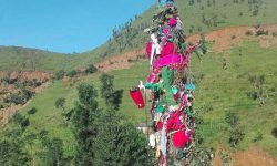 सुदूरपश्चिममा ‘ओल्के’ मनाइँदै