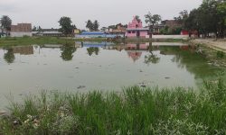 कल्टु पोखरी !