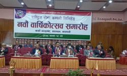 राष्ट्रिय बिमा कम्पनी नवौं वर्षमा, नेतृत्वदायी भूमिका खेल्न सरोकारवालाको सुझाव