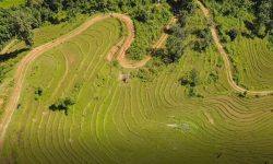 पहिरोपीडितलाई खरिद गरिएको जग्गा !