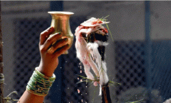 मिथिलामा ‘लगपाँच’ पर्व मनाइँदै