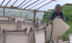 परिश्रमको फल !