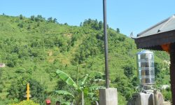 म्यादेमा १९ फिटको त्रिशूल !