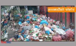 फोहोरका कारण कालीमाटी तरकारी बजारकाे मुख्य प्रवेशद्वार बन्द, आजदेखि व्यवस्थापन