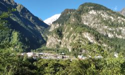 चामे बजार !