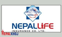 नेपाल लाइफ इन्स्योरेन्सको नोक्सानी ३५ करोड !