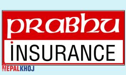प्रभु इन्स्योरेन्सको खुद मुनाफा २३ करोड ७६ लाख !