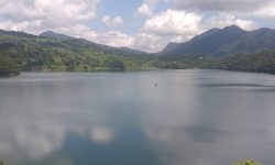 ‘हातमुख जोर्ने मूल आधार नै माछा व्यवसाय’