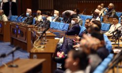 पारित भयाे नागरिकता विधेयक, पक्षमा १३५ मत