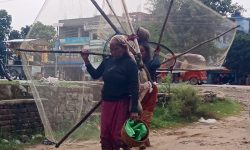 माछा मारेर घर फर्किदै महिला