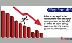 ३४ अंकले नेप्से घट्दा दुई अर्ब ६२ करोडको सेयर किनबेच